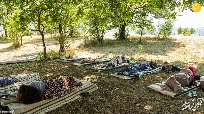 (تصاویر) مسابقه انتخاب تنبل‌ترین شهروند!